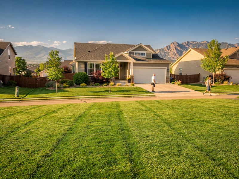 Lawn Mowing & Weekly Maintenance